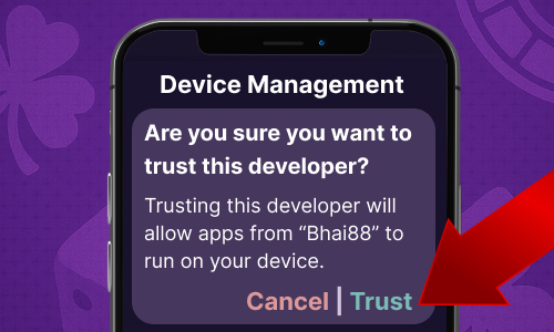 iPhone device management settings showing the developer profile to trust